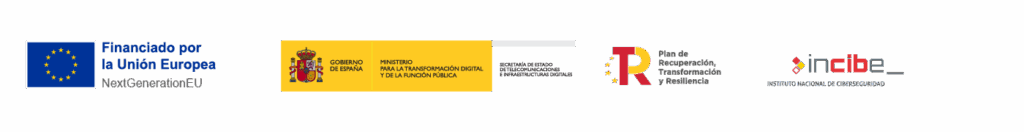 Competencias Digitales Profesionales 4 Faldon Ciberseguridad Diciembre 2024