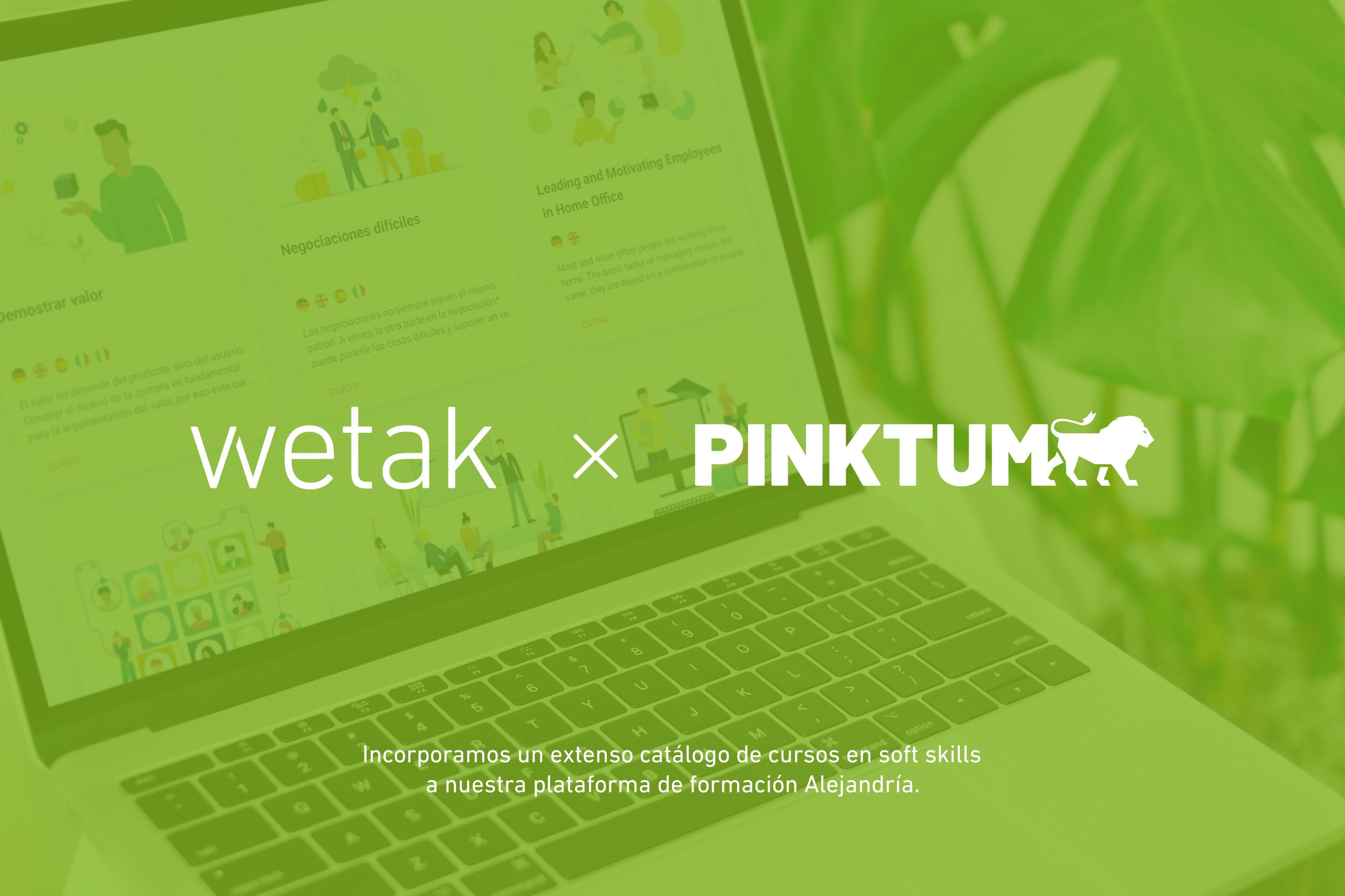 Partnership pinktum scaled